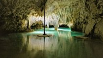 Hidden Cenote exploration in Playa del Carmen