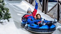 Ski Dubai Tickets with Transfers