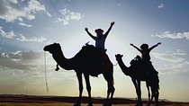 Camel ride & overnight in desert camp
