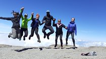 climb the Kilimanjaro via Umbwe route