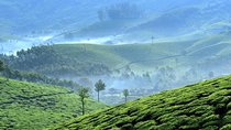 Private Day Trip to Munnar from Kochi (Cochin)