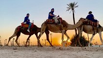 Camel ride in the sunset