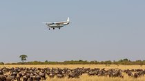 8 Days Ultimate Kenya Flying Safari Holiday