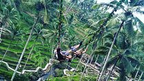 Jungle Swing & White Water Rafting Experience 