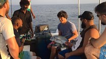 Catch the fish of a lifetime in adventurous waters – Negombo