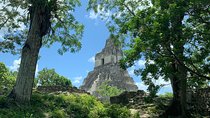 Tikal Shared Experience: Flight + One Day Tour from Antigua