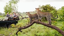 Wild Wonders Of Sri Lanka | 7 Days