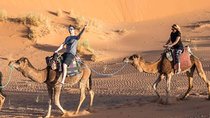 Overnight In The Desert From Fez To Marrakech ( Luxury )