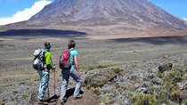 8 Days Mount Kilimanjaro Climbing- Machame Route 