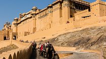 Jaipur Sightseeing Tour (1 Day)