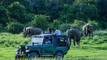 Udawalawe Safari Day Trip with Return Transport - All Inclusive