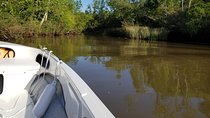 Private Boat TripTour to Tigre Delta