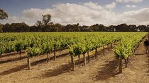 Private Langhorne Creek Wine Region Tour from Adelaide