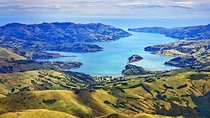 Lyttelton Shore Excursion: Twin Harbour Tour (Lyttelton & Akaroa)