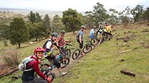 Mountain Bike Day Tour, 2 locations, 4 hrs riding, Holgate's Brewery lunch