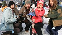 Daemyung Vivaldi Park Resort 2D 1N + Hwacheon Ice-Fishing Festival