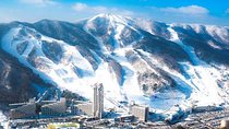 2D 1N Phoenix Pyeongchang Reseot Stay + Trout Ice-Fishing Festival Tour