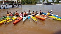 Guided Kayak Tour in Buenos Aires.