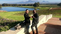 Wine Tasting Private Tour through Durbanville Winelands