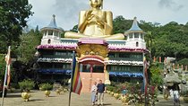 Day Tour to Dambulla & Sigiriya