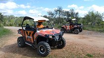 Sintra RZR Buggy tours