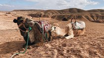 Desert Agafay and Atlas Mountains Waterfall & Camel ride Day Trip From Marrakech
