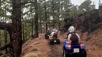 Quad adventure Forestal