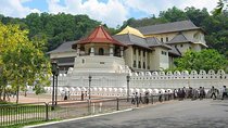 Kandy Private Day Tour Ahungalla/Kosgoda/Bentota/Beruwala/Kaluthara