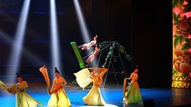  Wonderful Night tour: Acrobatics Show, Peking roast Duck