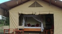 9 Days Best of Kenyan Tented Safari