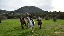Horseback Riding in Randa Valleys, Mallorca, Spain