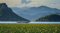 Skadar lake boat ride through "Montenegrin Amazon", wine tasting & Niagara falls
