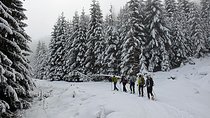 Full-day Vitosha Mountain Snowshoe Hiking Tour from Sofia