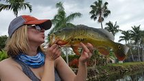 Peacock Bass Fishing Trip in Boynton Beach