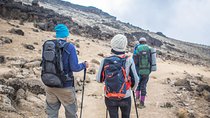 8 Days Mt. Kilimanjaro Climbing From Nairobi 