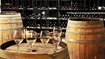 Chianti Lovers Private Tour: 2 winery with lunch from Florence