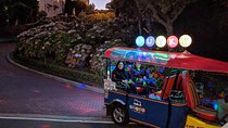 San Francisco Afternoon or Sunset Private Tour - Lucky Tuk Tuk