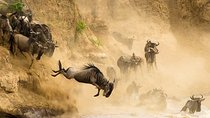 6 Days Masai Mara Wildebeest Migration Safari