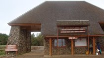 Day Tour To Mt. Kenya 