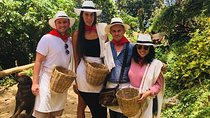 EXPERIENCES COLOMBIA (coffee tour)