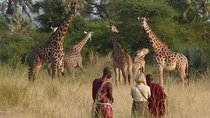 3 Days Private Masai Mara National Reserve Safari