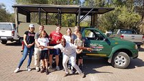 Kruger Park Safari - Half Day Game Drive from Hazyview