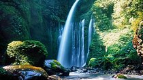 Best Sendang Gile and Tiu Kelep Waterfalls Tour