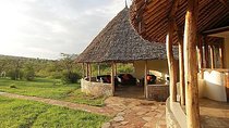  5 Days Big Five Safari Tour in Kenya