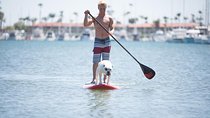 1.5 Hour Paddle Board Rental with Instruction 