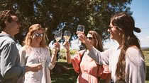 Premium Vineyard Tour & Tasting