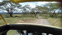 Private Day tour Nakuru National Park & Boat Ride