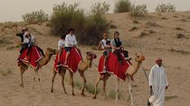 Morning Desert Safari with Long Camel Ride