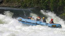 7day Water rafting Mountain Gorillas trek Queen Elizabeth Safari