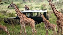 14-Days Kenya and Tanzania Camping Safari from Nairobi